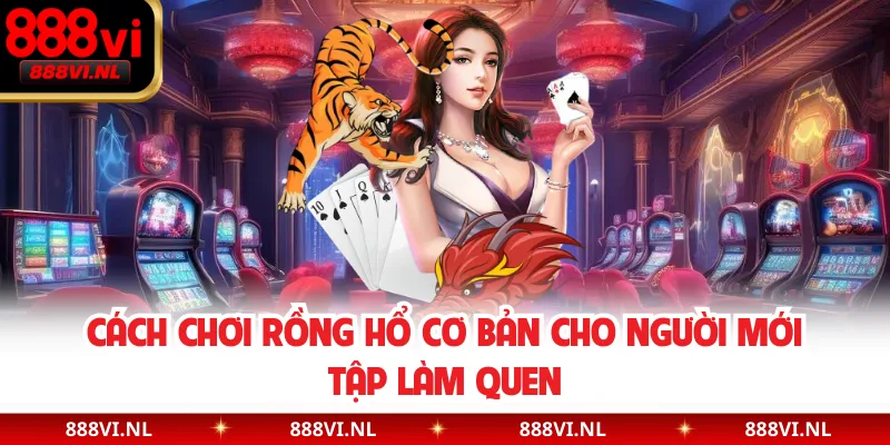 Cách chơi Rồng Hổ cơ bản cho người mới tập làm quen