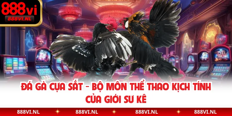 Đá Gà Cựa Sắt - Bộ Môn Thể Thao Kịch Tính Của Giới Sư Kê