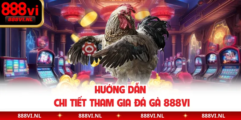 Hướng dẫn chi tiết tham gia đá gà 888VI